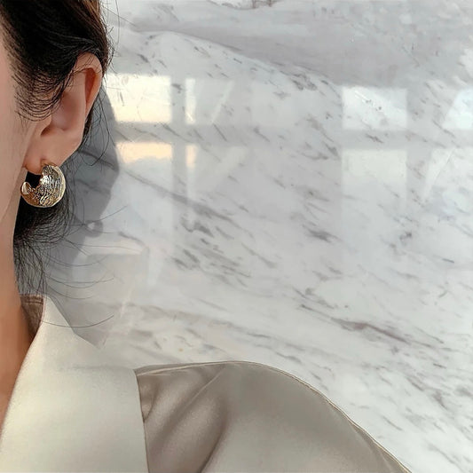 Subtle Elegance Brushed Surface Stud Earring - Silver